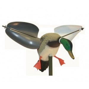 Mojo Wınd Duck Kanatları Rüzgarlı Ördek Mühresi