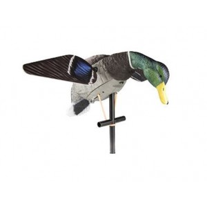 LuckyDucy Motorlu Ördek Mühresi Lucky HD